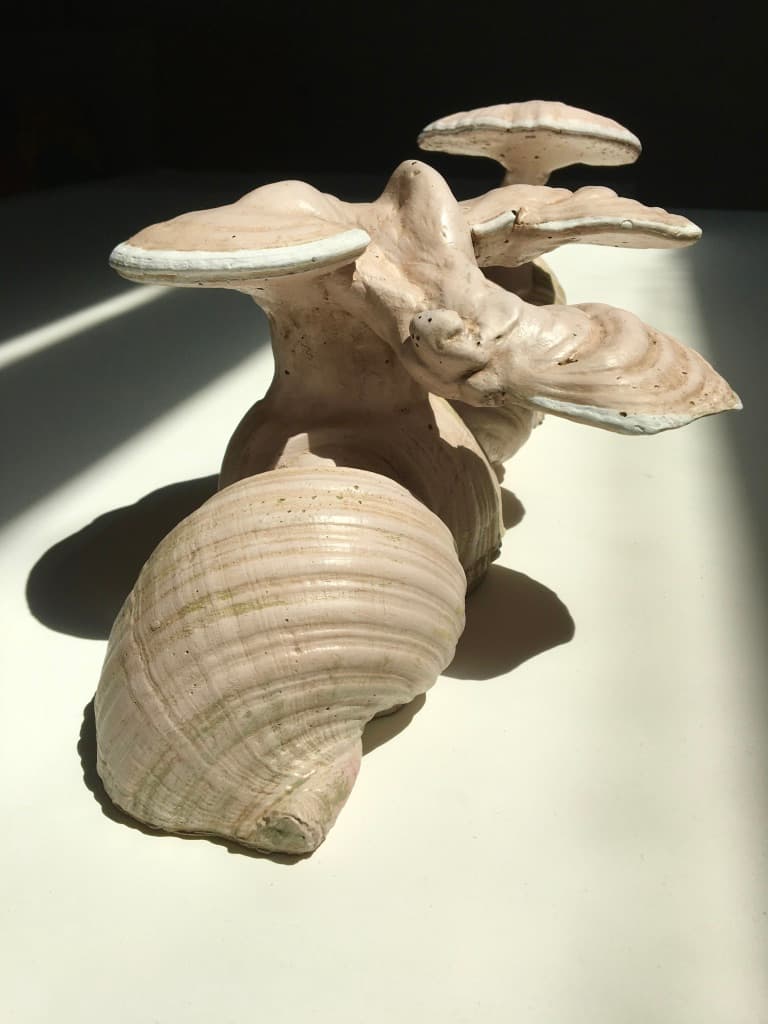 1. Congress of Beauty I 2023