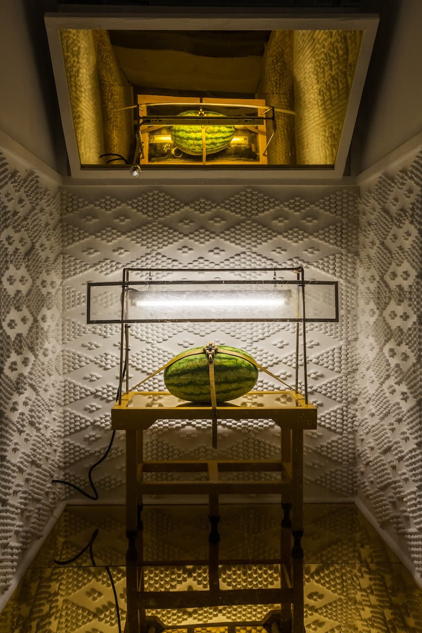 Watermelon Installation